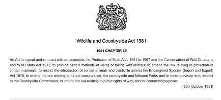 The wildlife and countryside act